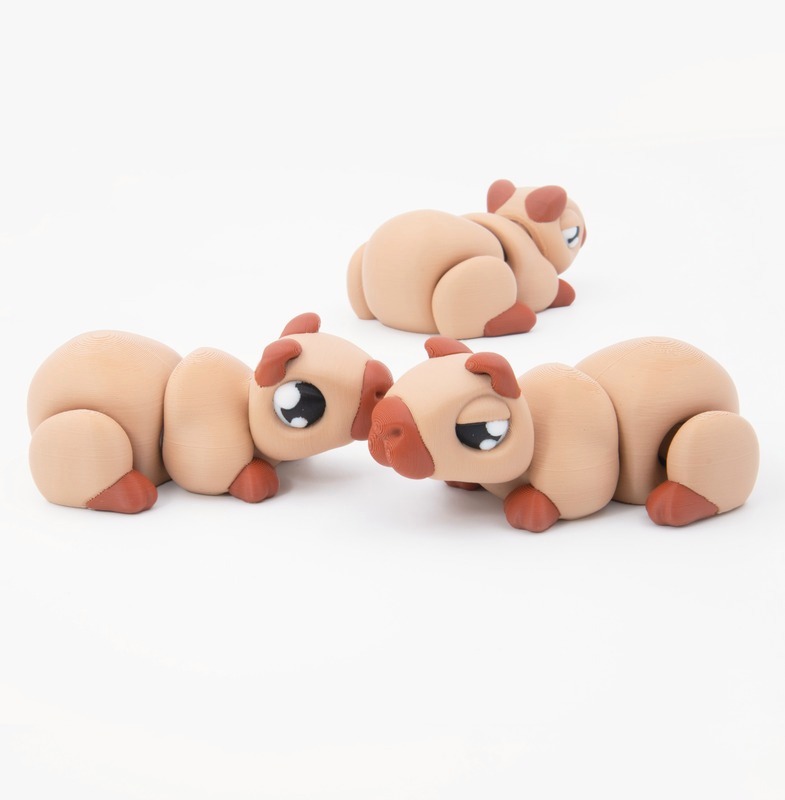 Capybara Flexi + Keychain