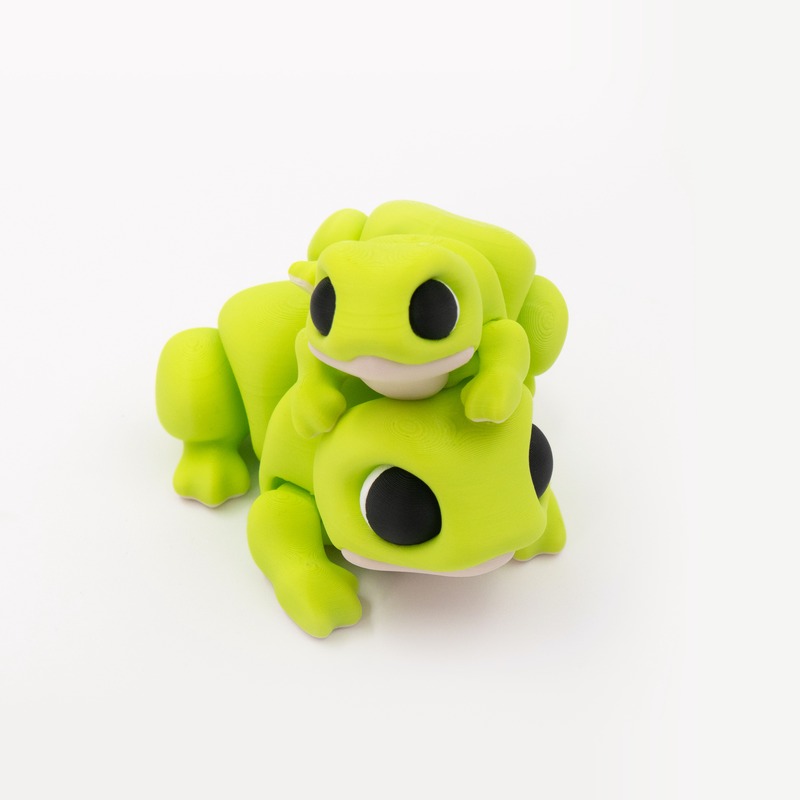 Flexi Frog + Keychain