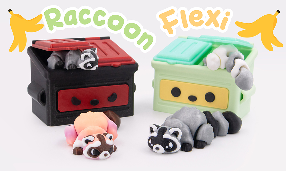 Raccoon